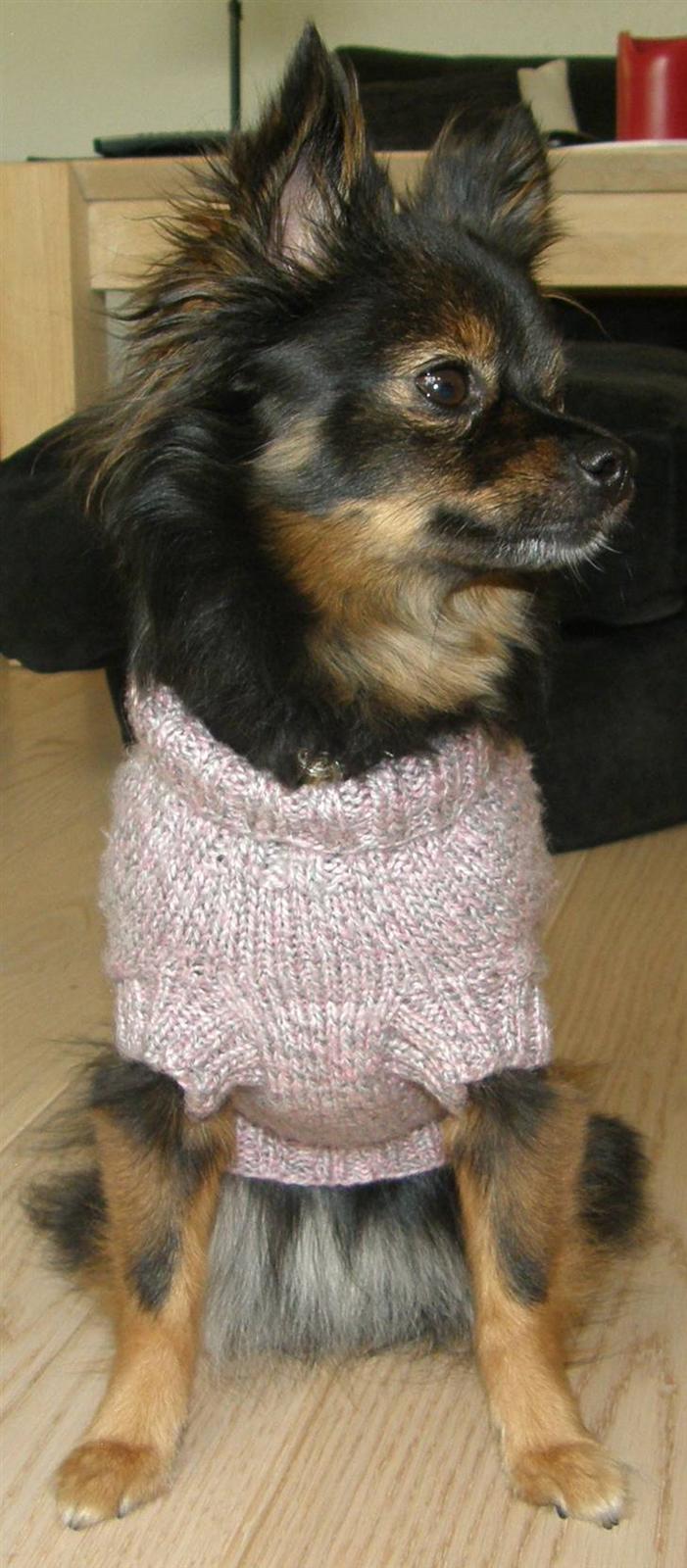 Hjemmelavet Hundetøj billede 34