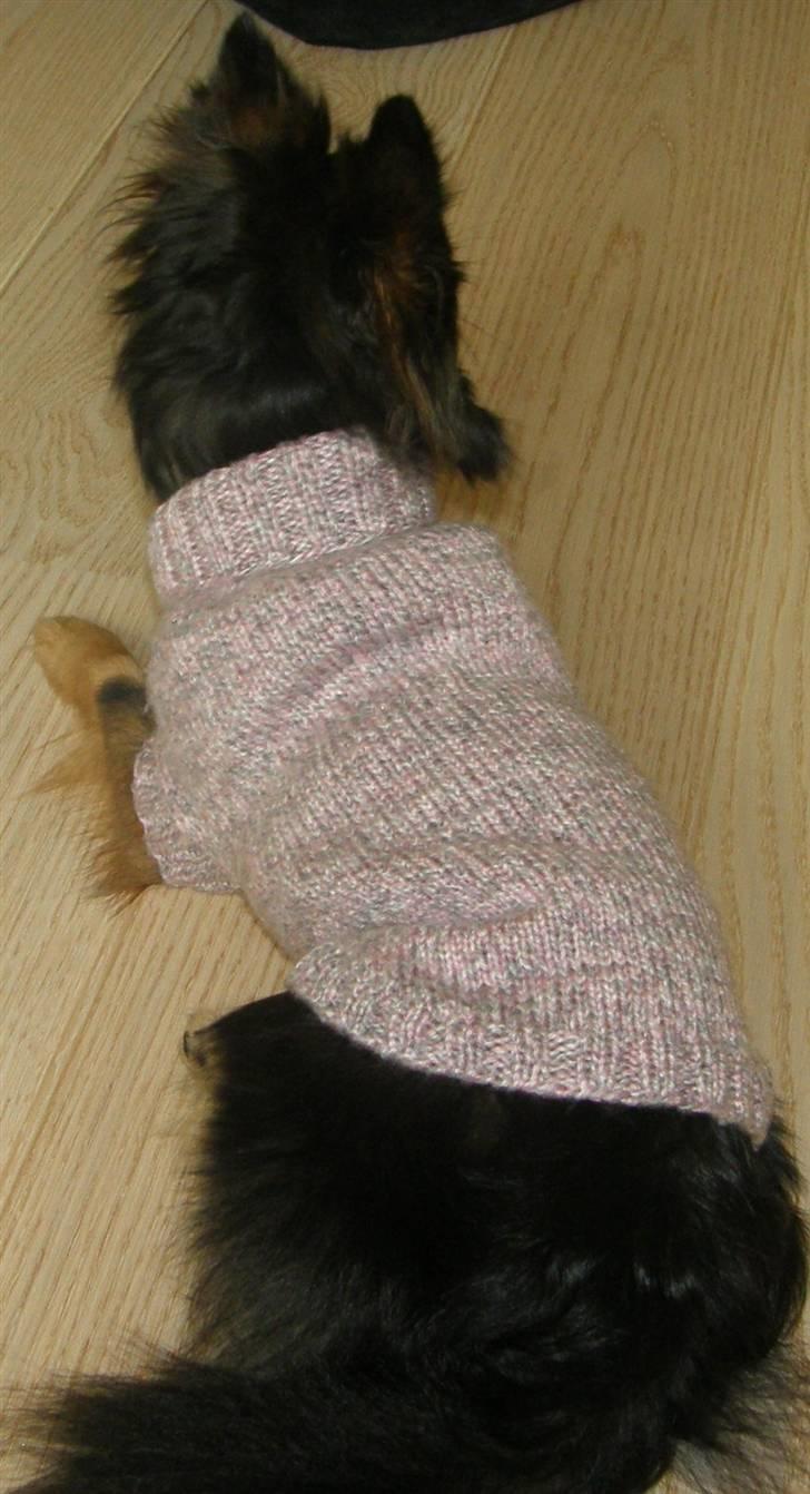 Hjemmelavet Hundetøj billede 35