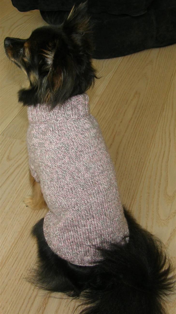 Hjemmelavet Hundetøj billede 36