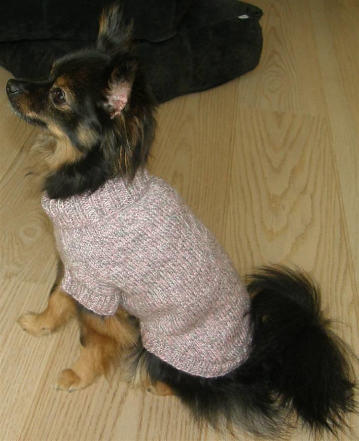 Hjemmelavet Hundetøj billede 37