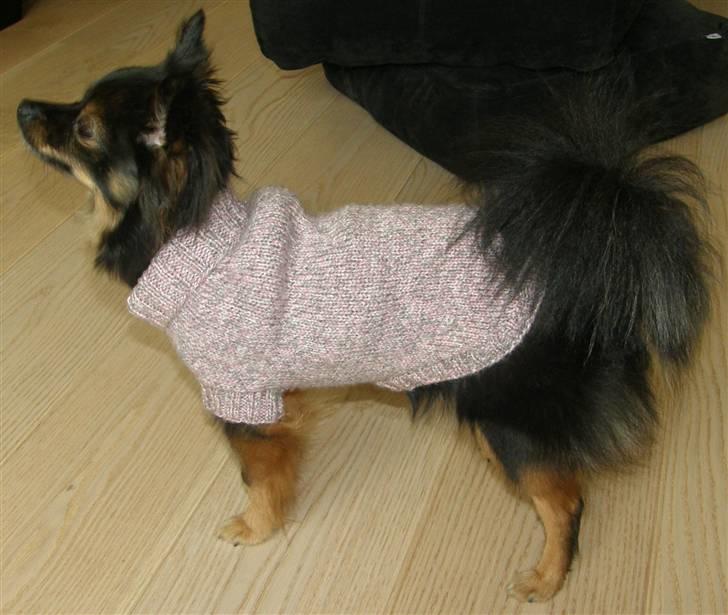 Hjemmelavet Hundetøj billede 38