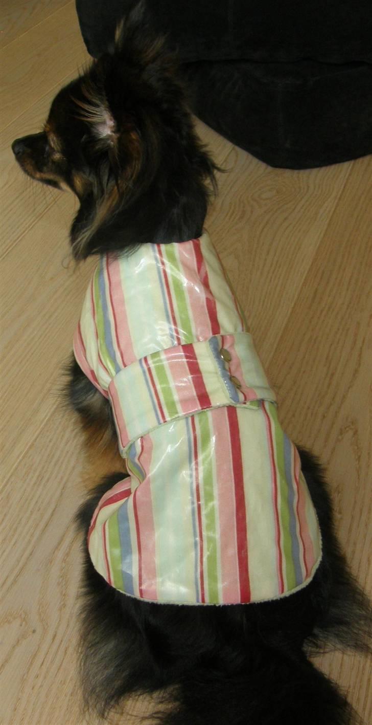 Hjemmelavet Hundetøj billede 39