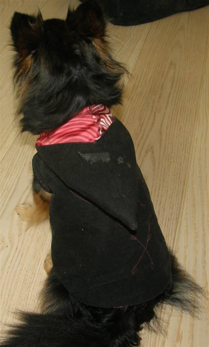 Hjemmelavet Hundetøj billede 46