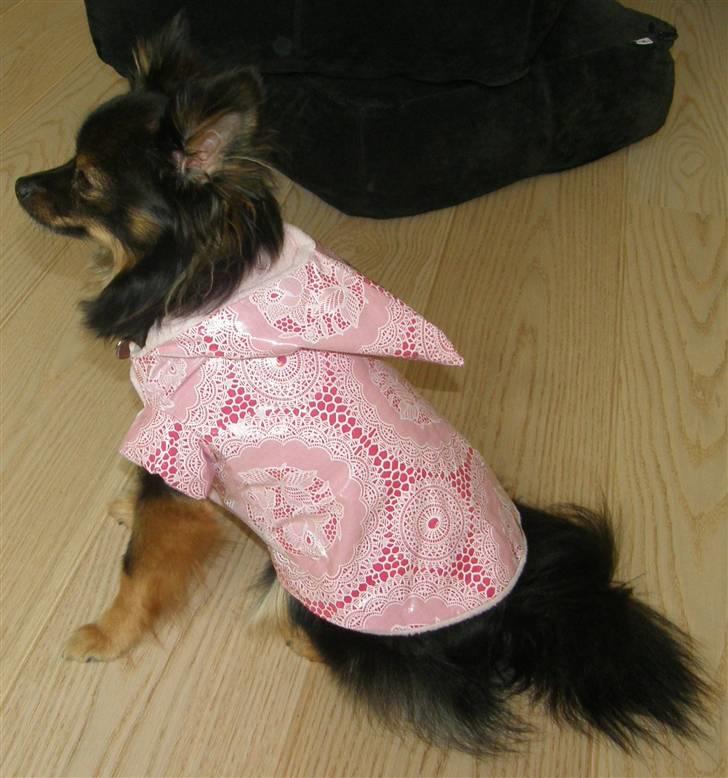 Hjemmelavet Hundetøj billede 51