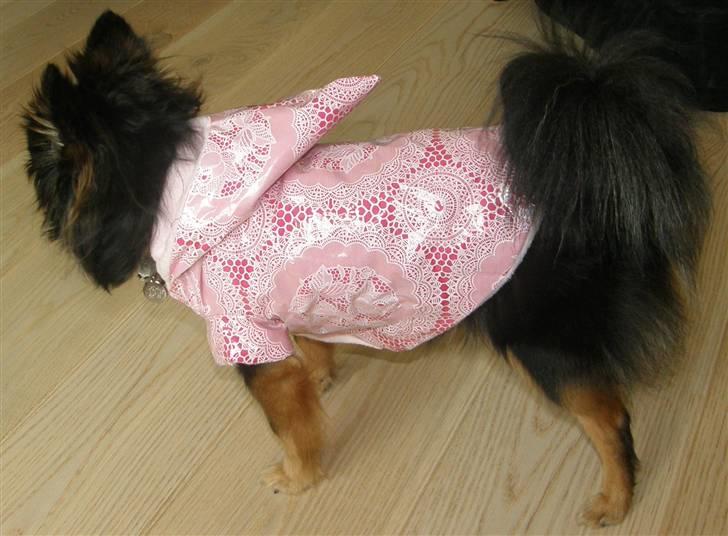 Hjemmelavet Hundetøj billede 52