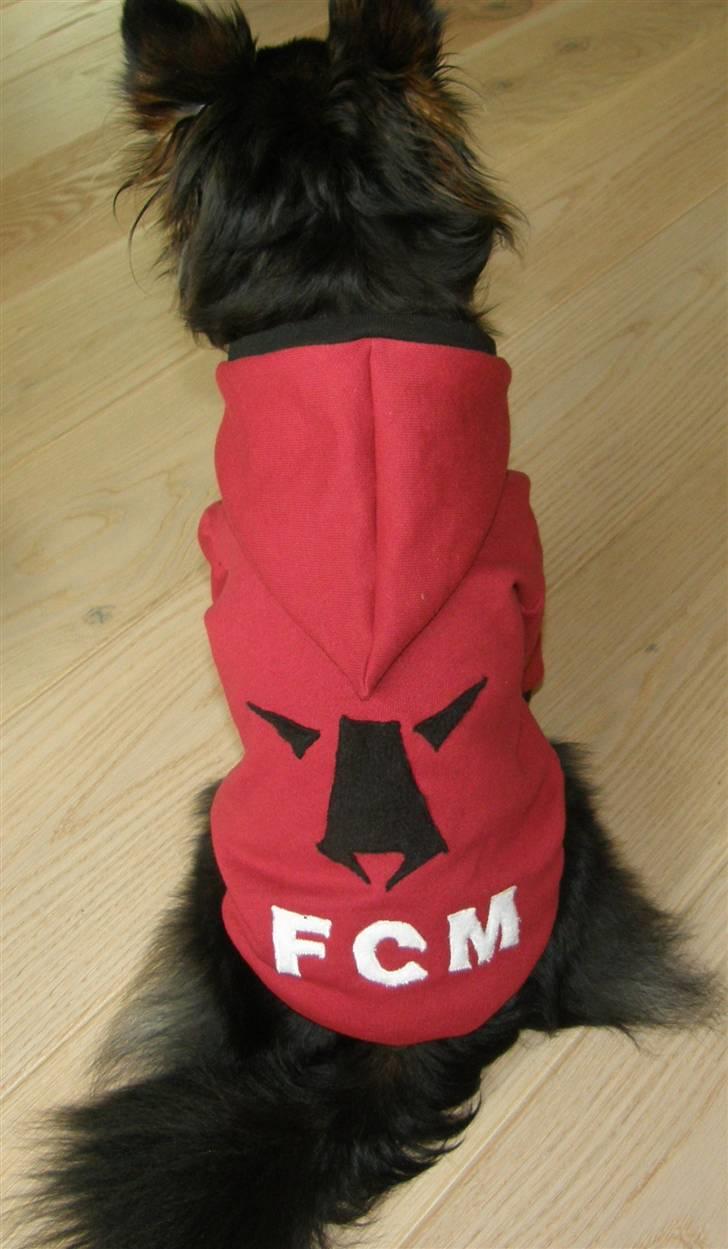 Hjemmelavet Hundetøj billede 53