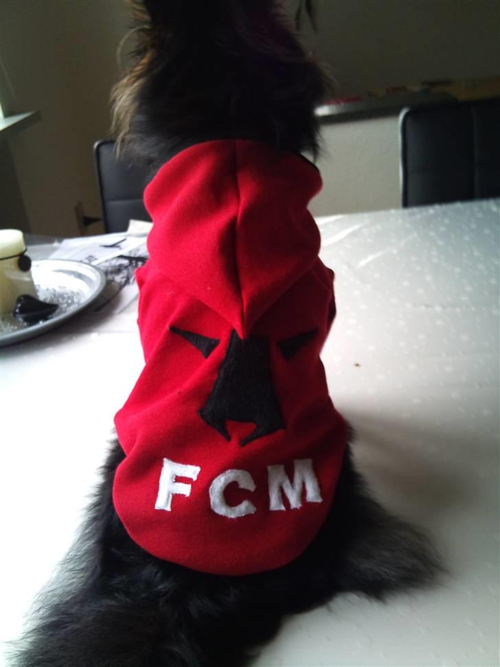 Hjemmelavet Hundetøj billede 61