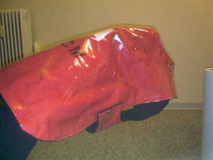 Hjemmelavet Hundetøj billede 82