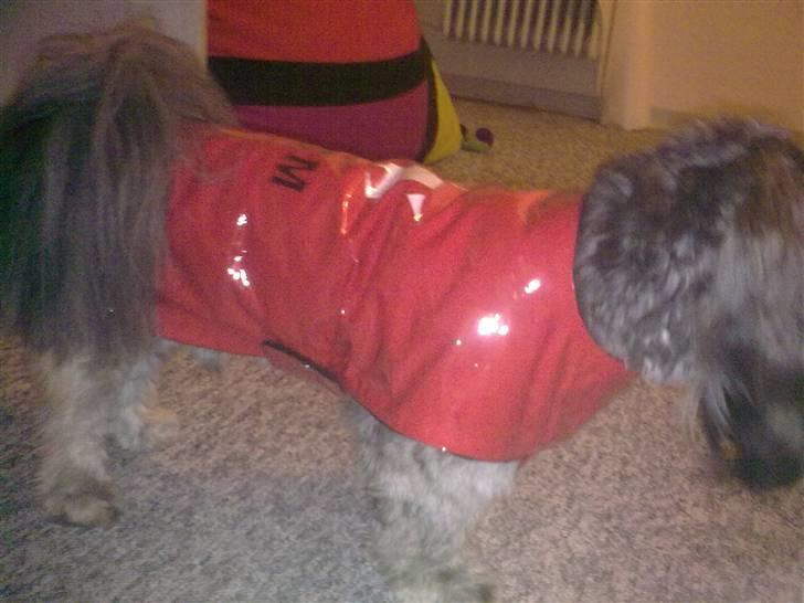 Hjemmelavet Hundetøj billede 86