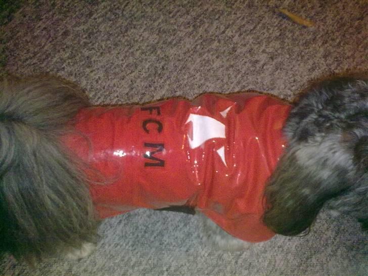 Hjemmelavet Hundetøj billede 87