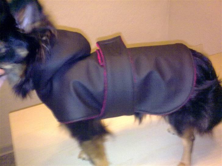 Hjemmelavet Hundetøj billede 89