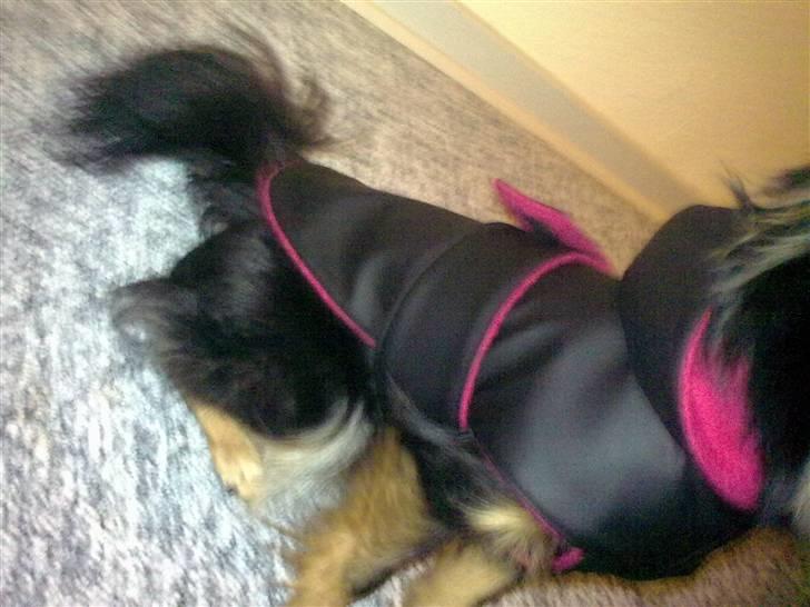 Hjemmelavet Hundetøj billede 91