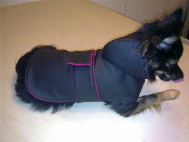Hjemmelavet Hundetøj billede 93