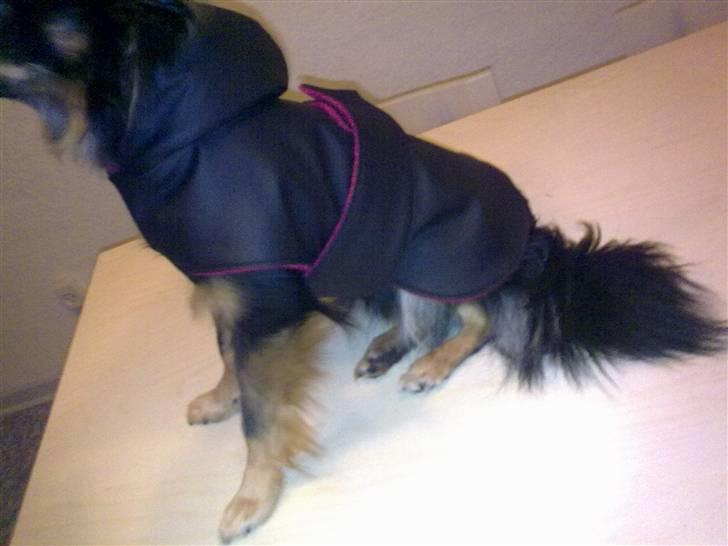 Hjemmelavet Hundetøj billede 95