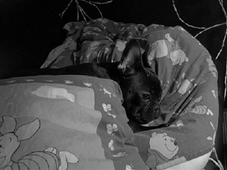 Frække Frida :) billede 7