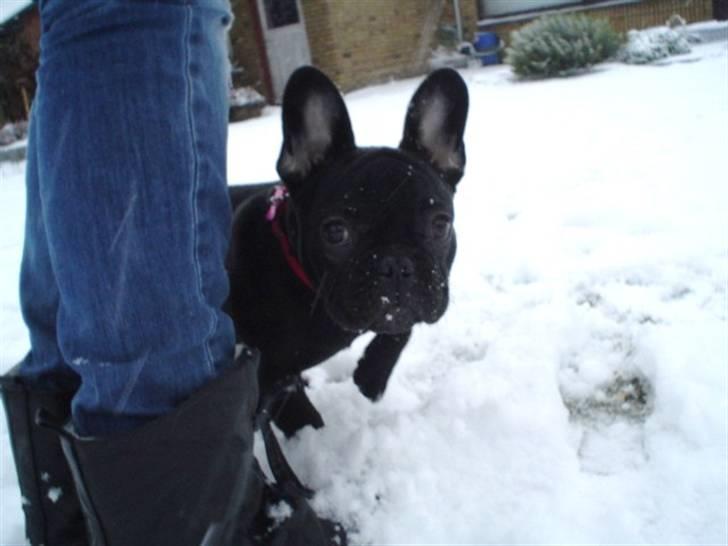 Frække Frida :) billede 10