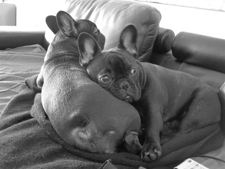 Frække Frida :) billede 13