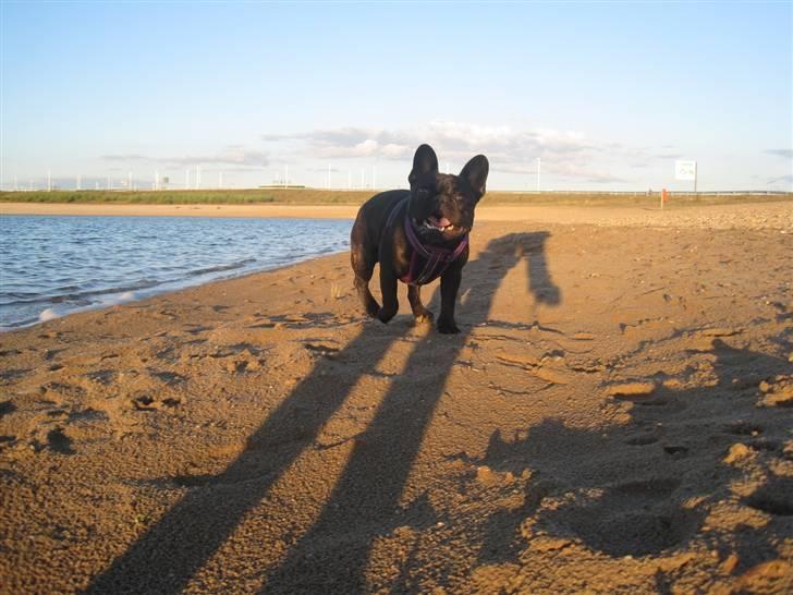 Frække Frida :) billede 18