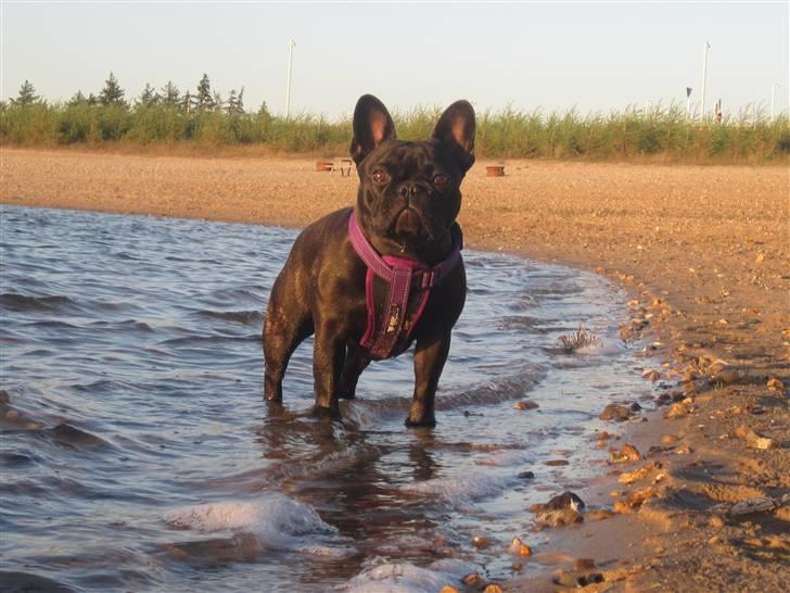 Frække Frida :) billede 19