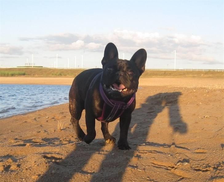 Frække Frida :) billede 20