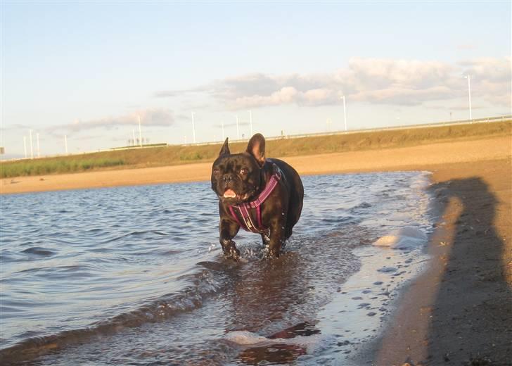 Frække Frida :) billede 21