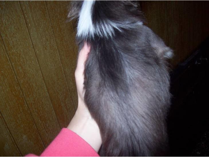 {{currentPhoto.altText}} billede {{currentPhoto.number}}