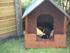 Hundehuset