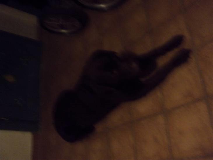 {{currentPhoto.altText}} billede {{currentPhoto.number}}