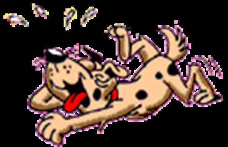 Diverse fjollerier - billede 28