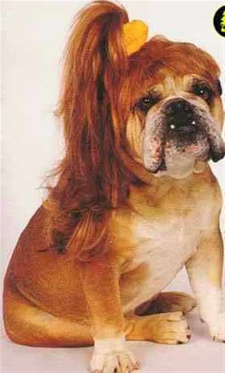 Diverse fjollerier - billede 29