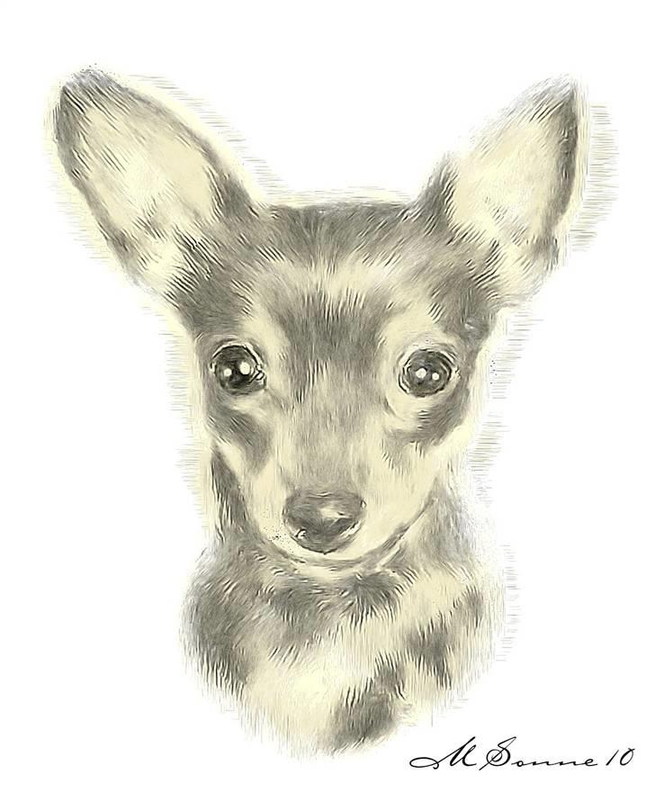 En streg kan bruges til meget :O) billede 25