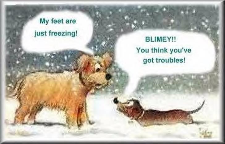 Diverse fjollerier - billede 30