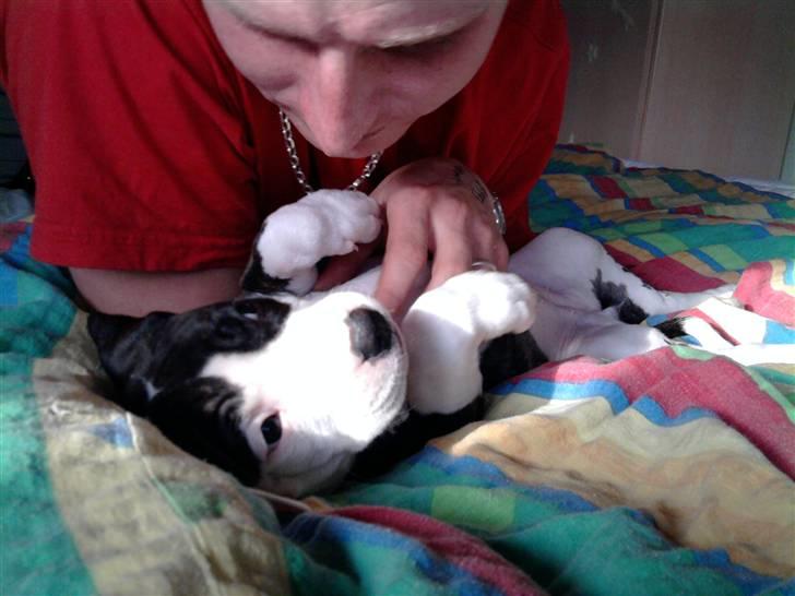 Wapzi<3 R.I.P.† 1 Maj 2020 † billede 19