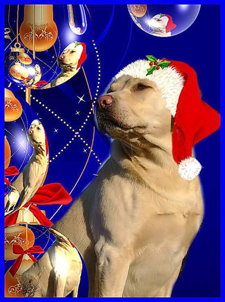 En streg kan bruges til meget :O) billede 26