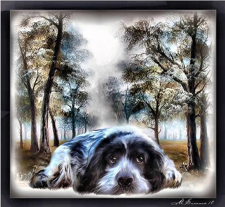 En streg kan bruges til meget :O) billede 3