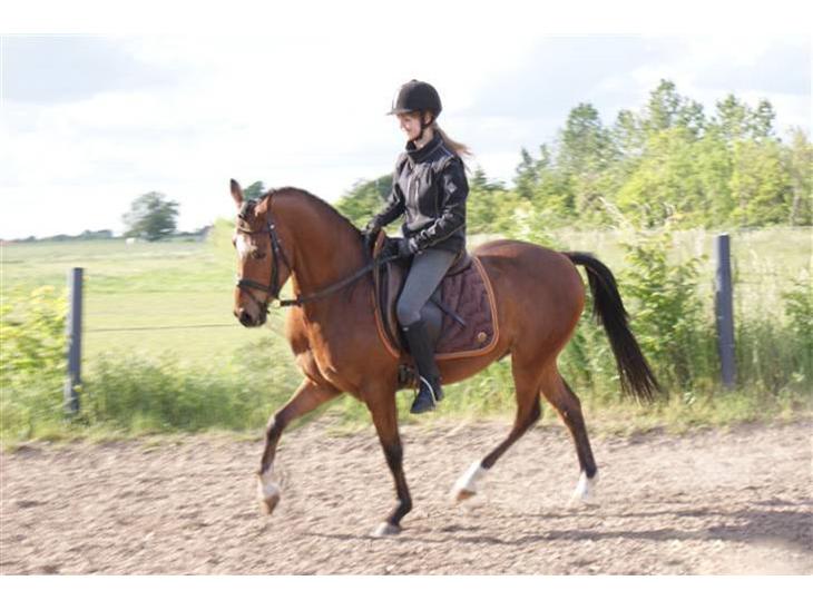 {{currentPhoto.altText}} billede {{currentPhoto.number}}