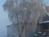 - 15 grader i morges. 