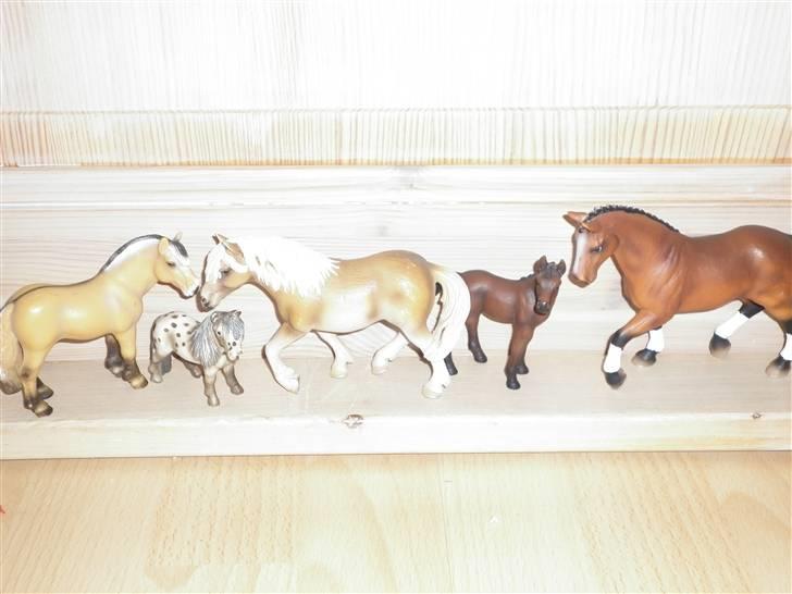 Mine schleich(-: - Fjordhest,Shætlænder,Hafflinger,Araberføl, Ved ik hvad den sidste race er(: billede 1