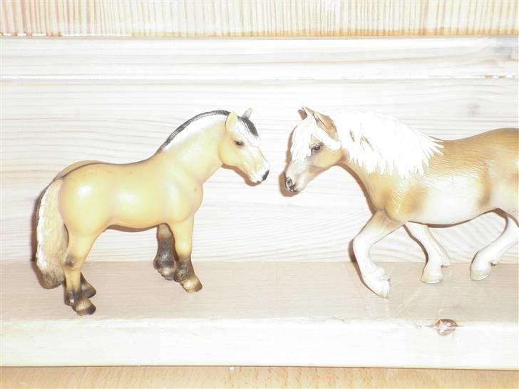 Mine schleich(-: - Fjordhest & Hafflinger billede 2
