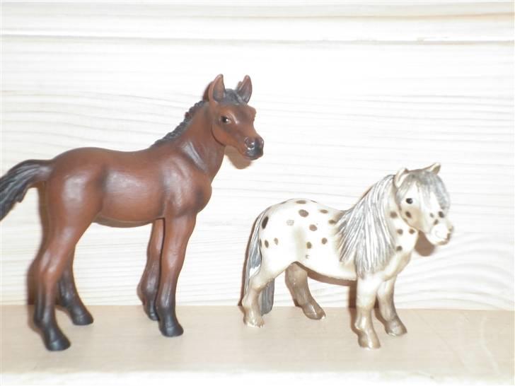 Mine schleich(-: - Araberføl & Shætlænder billede 4