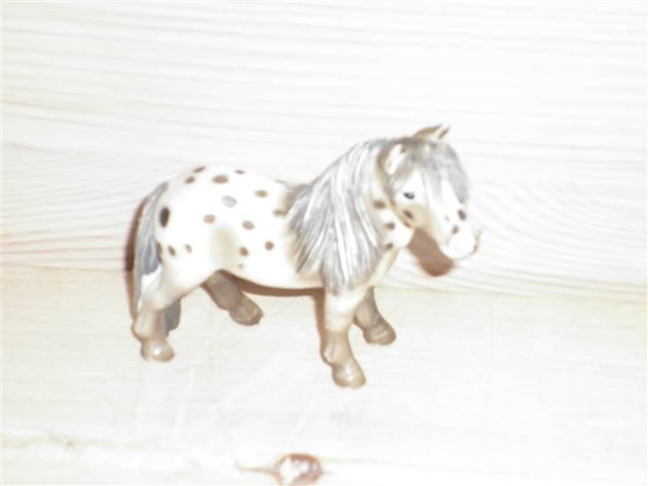 Mine schleich(-: - Shætlænder billede 10