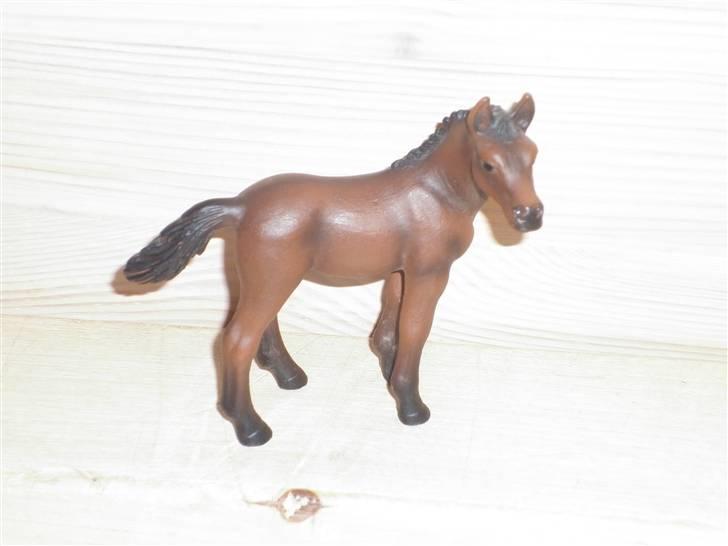 Mine schleich(-: - Araberføl billede 11