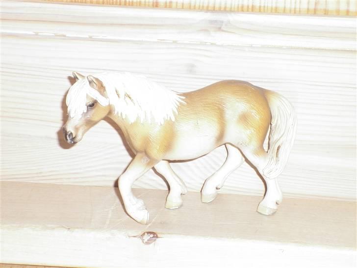 Mine schleich(-: - Hafflinger billede 14