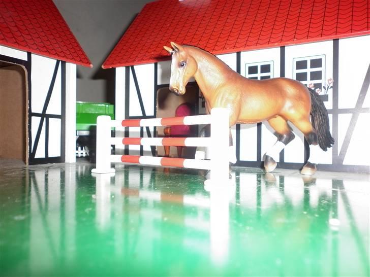 Mine schleich(-: billede 30