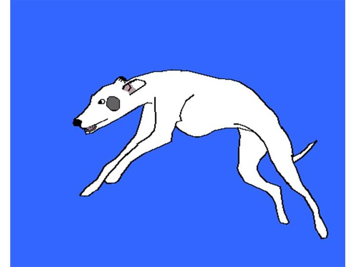 {{currentPhoto.altText}} billede {{currentPhoto.number}}