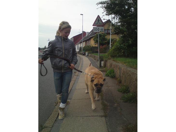 {{currentPhoto.altText}} billede {{currentPhoto.number}}