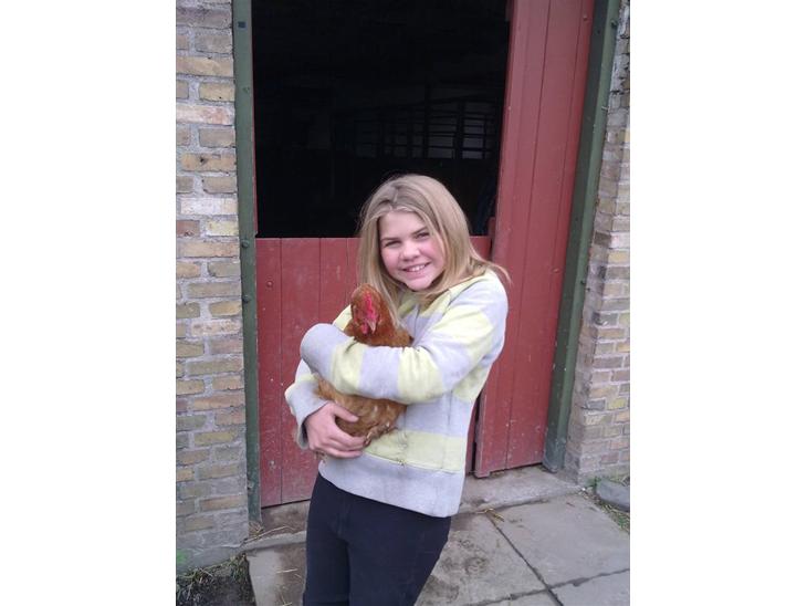 {{currentPhoto.altText}} billede {{currentPhoto.number}}