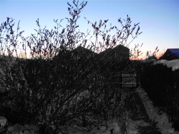 Mine billeder billede 20