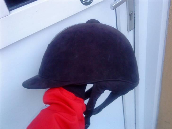 Mine hesteting ;O) billede 10