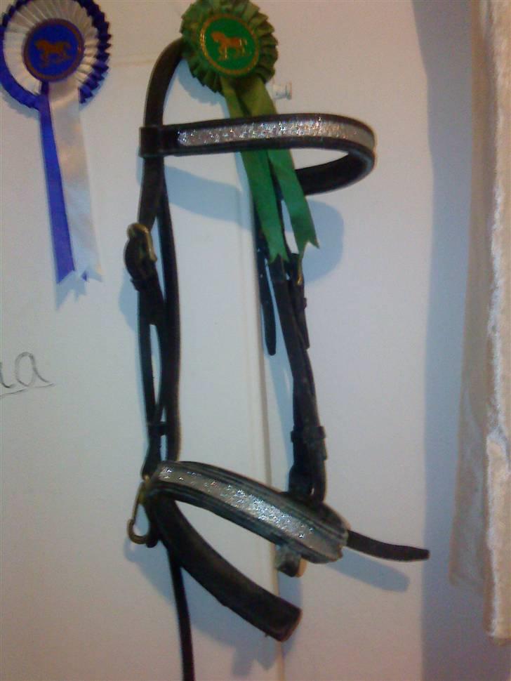 Mine hesteting ;O) - STR PONY billede 13